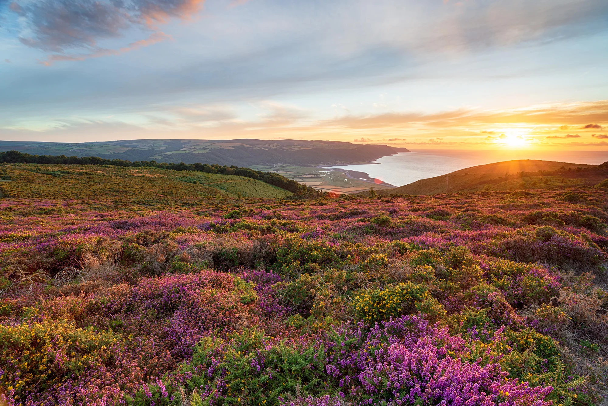 Exmoor Somerset